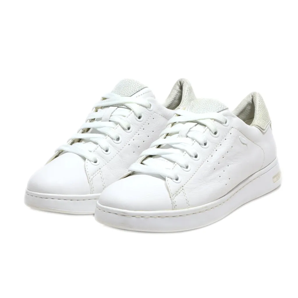 Geox Low-Top Sneakers Leather White Colour For Women