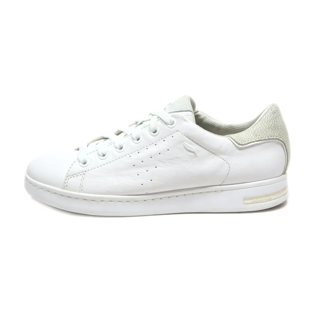 Geox Low-Top Sneakers Leather White Colour For Women