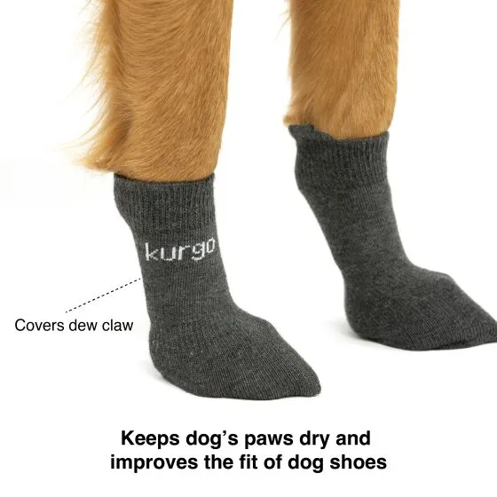 Kurgo Blaze Dog Socks Grey Set Of 4